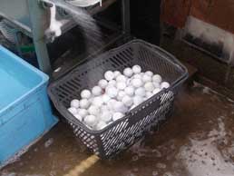 ロストボールをゴルフボール洗浄機へ。丁寧に念入りに洗浄。